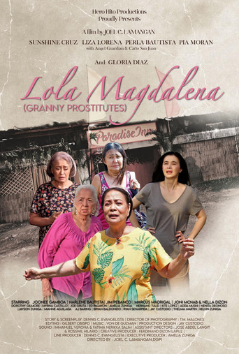 Granny Prostitutes movie poster
