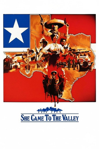 She Came To The Valley movie poster