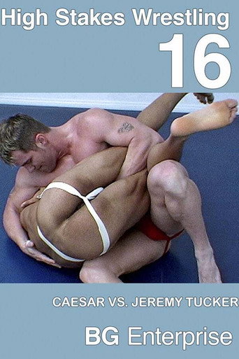 High Stakes Wrestling 16 movie poster