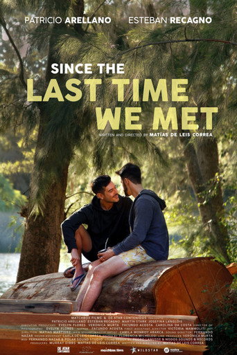 Since the Last Time We Met movie poster