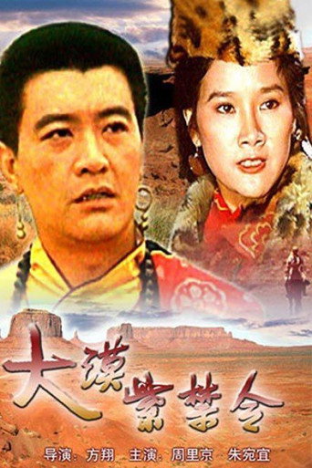 大漠紫禁令 movie poster