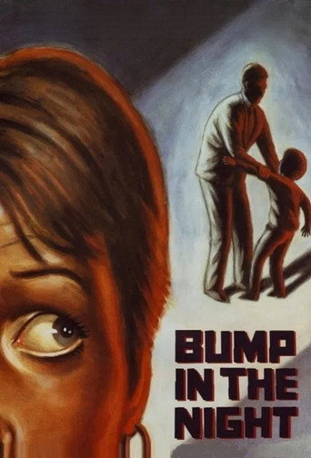 Bump in the Night movie poster