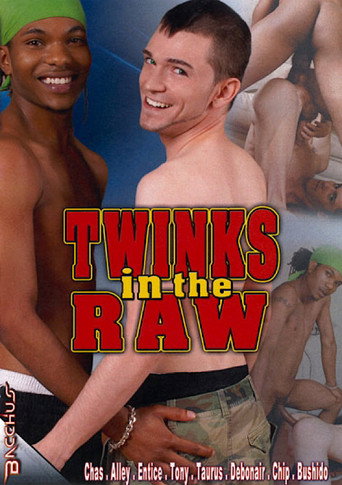 Twinks in the Raw movie poster