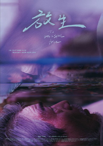 To Set a Spirit Free movie poster