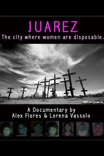 Juarez: The City Where Women Are Disposable movie poster