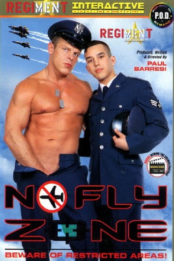 No Fly Zone movie poster