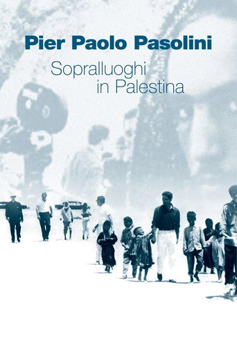 Scouting in Palestine movie poster