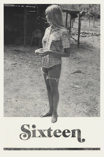 Sixteen movie poster