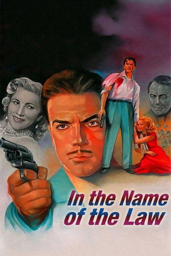 In the Name of the Law movie poster