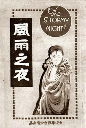 The Stormy Night movie poster