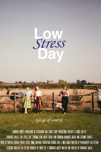 Low Stress Day movie poster