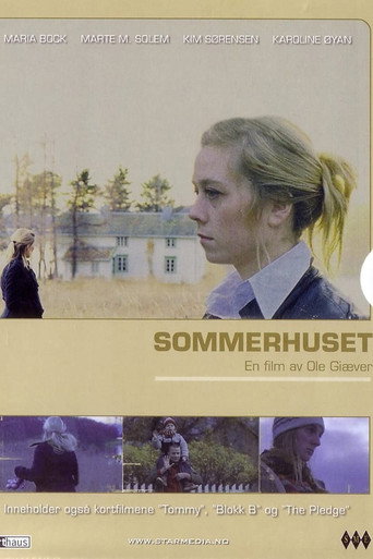 Summers Past movie poster