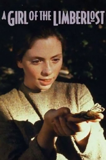 A Girl of the Limberlost movie poster