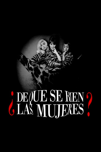 What Makes Women Laugh? movie poster