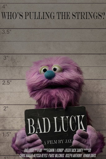 Bad Luck movie poster