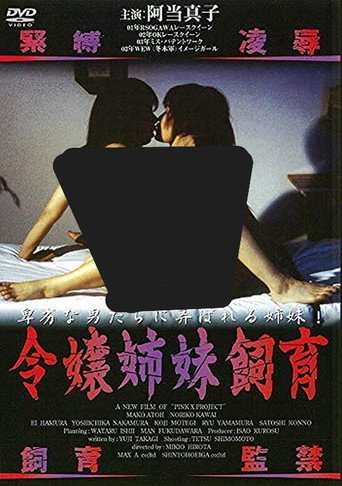 Young Lady Sisters movie poster