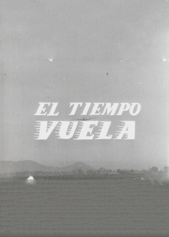 Time Flies movie poster
