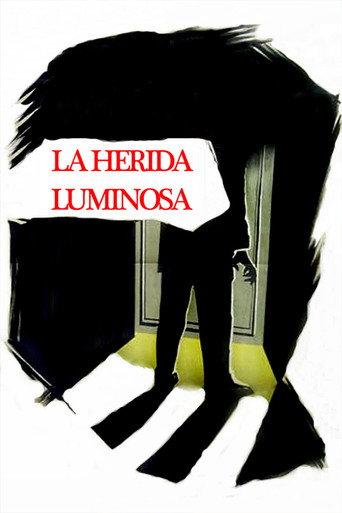La herida luminosa movie poster