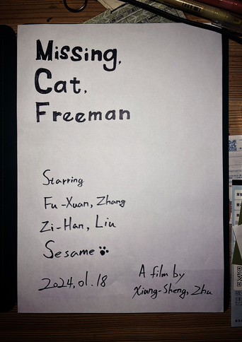 Missing, Cat, Freeman movie poster