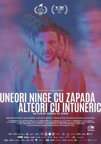 Snowing Darkness movie poster