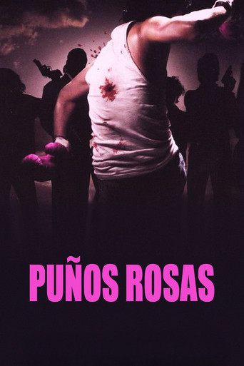Pink Punch movie poster