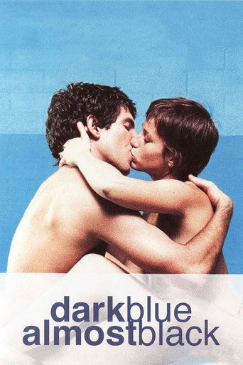 Dark Blue Almost Black movie poster