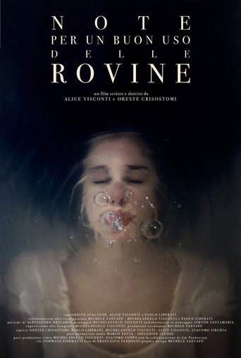 Notes For a Good Use of the Ruins movie poster