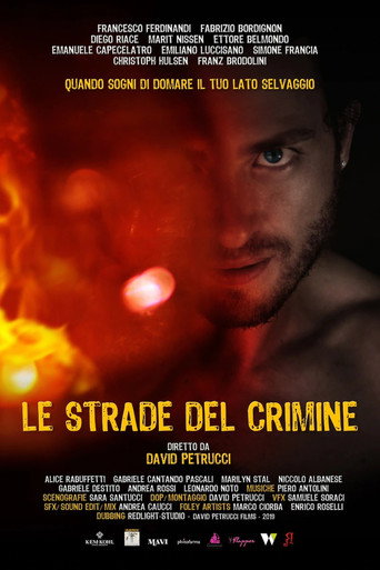 Le strade del crimine movie poster