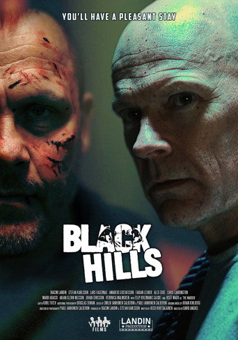 Black Hills movie poster