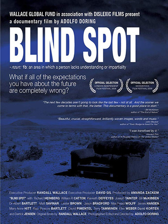 Blind Spot movie poster