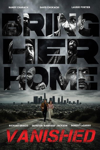 Vanished movie poster