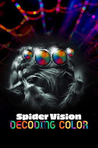 Spider Vision: Decoding Color movie poster