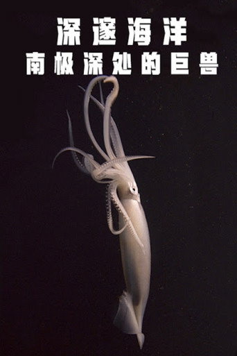 Deep Ocean: Giants of the Antarctic Deep movie poster