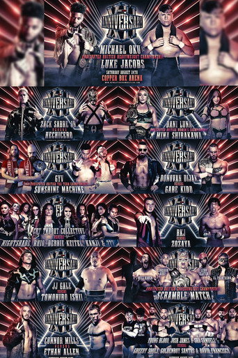 RevPro 12 Year Anniversary Show movie poster