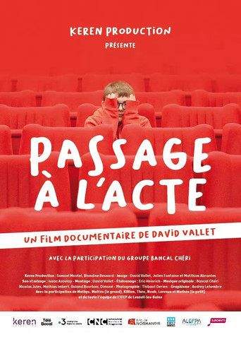 Passage à l’acte movie poster