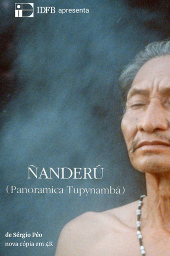 Ñanderú - Panorâmica Tupinambá movie poster
