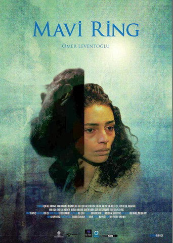 The Blue Van movie poster