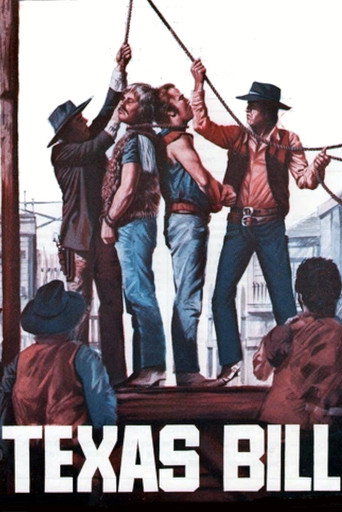 My Name Is Texas Bill movie poster