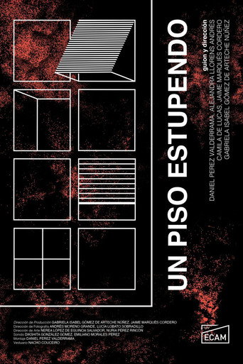 An Awesome Flat movie poster