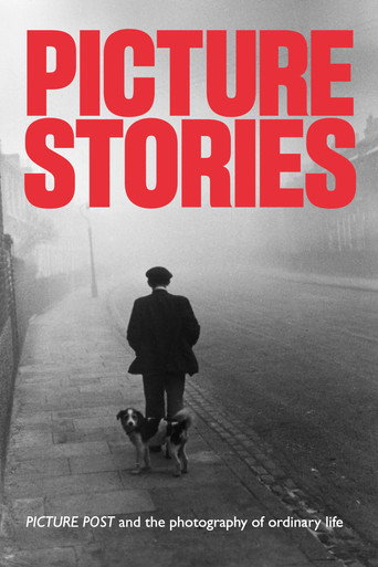 Picture Stories movie poster