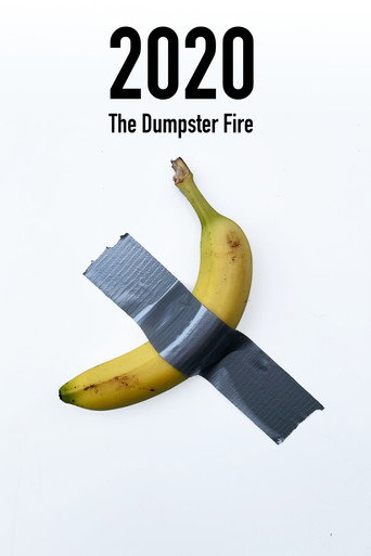 2020: The Dumpster Fire movie poster