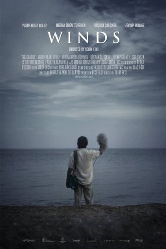 Winds movie poster