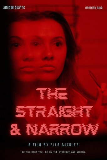 The Straight and Narrow movie poster