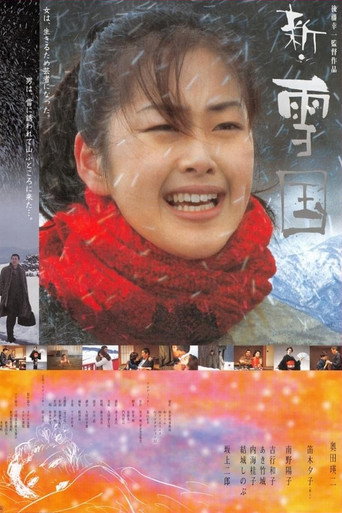 Snowland Revisited movie poster