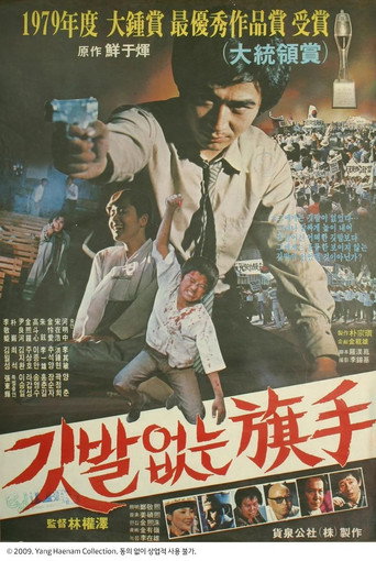 The Hidden Hero movie poster
