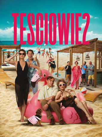 The In-Laws 2 movie poster