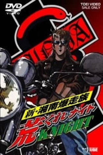 Shin Shounan Bakusouzoku Arakure KNIGHT movie poster
