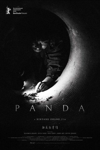 Panda movie poster