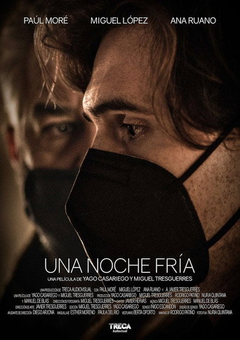 Una noche fría movie poster