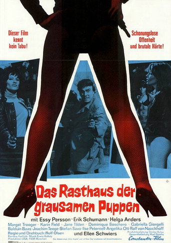 Devil's Girls movie poster